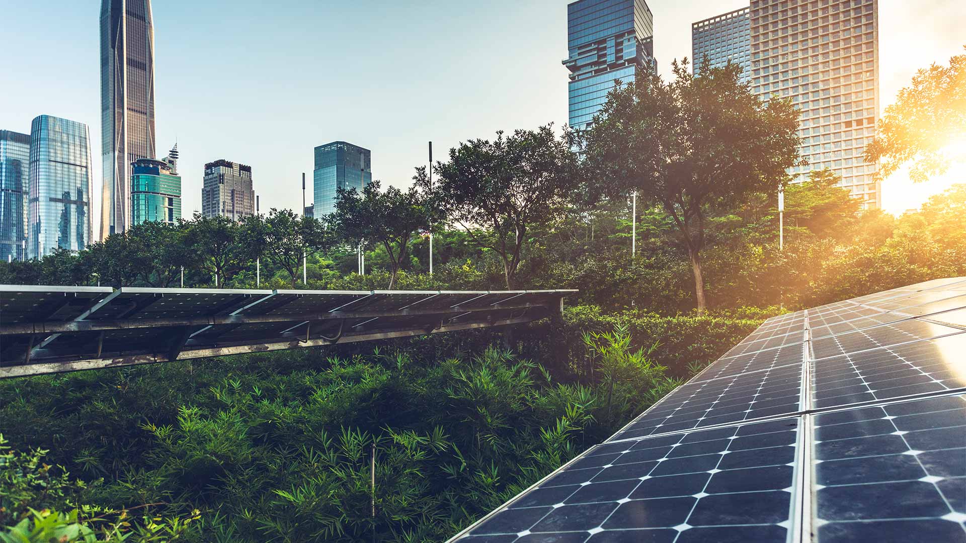 solar panel in front of modern skyscrapers