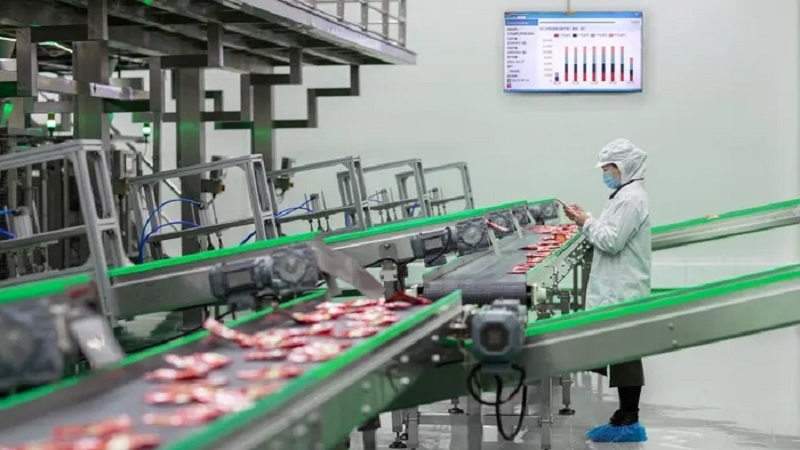 lady in Factory