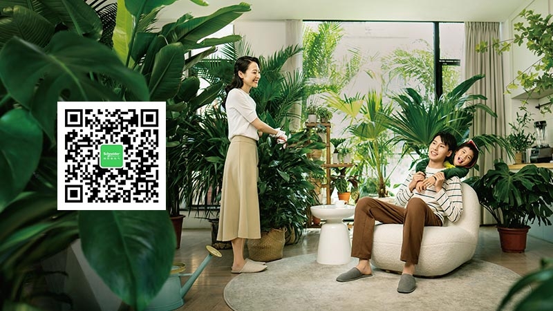 SE China QR code